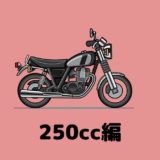 【250cc編】人気のおすすめバイクを車種ごとにランキング形式で紹介！